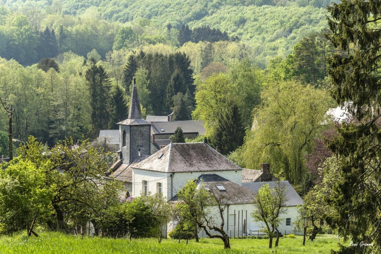 Gezellige Villa Met Open Haard En Zonnige Tuin. Doische Экстерьер фото